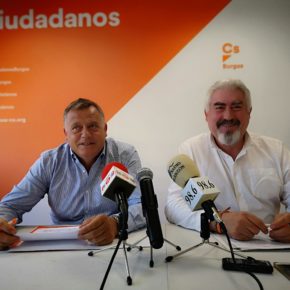 Ciudadanos pide a la Junta que coordine la gestión de Clunia junto a la Diputación
